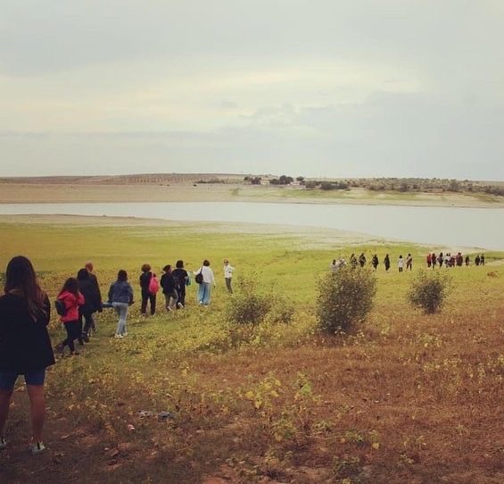 Capacciotti Green Dream